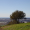 Watsonville from Hwy 152