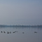 Fleuve - Repentigny