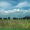 Country field from highway