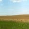 Country road