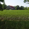 new hamburg - mennonite barn in the field