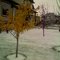 Winter Weather Strikes Alberta in Leduc, Canada, South of Edmonton, Oct '09