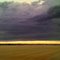 Golden Prairie In Late Autumn And Dark Oncoming Clouds Near Leduc AB South Of Edmonton Nov '09