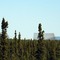 BMEWS Clear, Alaska