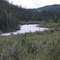 Nenana river
