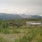 Denali National park, McKinley Explorer, july 2009