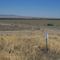 Farmland (View Northerly)