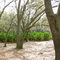 New River Phase II Before Construction