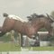 A Horse With No Legs