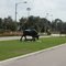 Wiregrass Ranch High School