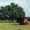 what the! rural Pasco County, Florida (1990)