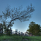 Park farm hdr