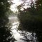 morning mist on Canteloupe Lake