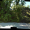 Pt. Pelee West Beach at the start of Summer