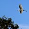 Through the Great Blue Yonder