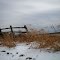 Old Farm Fence in Winter