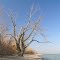 Pt. Pelee barrier beach