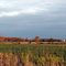 Farm land