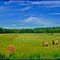 Summer on Highway 169