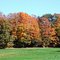 Muskoka Fall