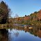 Muskoka River Near Wilsons Falls
