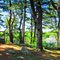 Pine Grove Park Liverpool NS