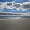 Beach Meadows N.S.