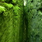 Crevice at Nottawasaga Bluffs, Devil's Glen PP