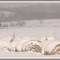 Winter in Farm Country
