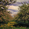 W.L. Hamilton orchard (historic)