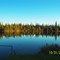 Swamp in the Summer