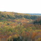 Thanksgiving 06