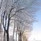 Hoarfrost