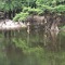 Ohoopee River-Griffin Ferry2