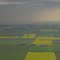 Green And Gold Prairie With A Storm In The Distance Near Calmar AB From A Plane South of Edmonton Jul '10