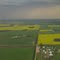 Gorgeous Prairies of Green And Gold With Distant Thunderstorms On The Way To The Edmonton Int'l Airport Near Calmar, Alberta