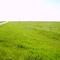 Green Prairie