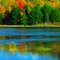 Reflection Between Minden and Miner's Bay, Ontario
