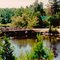 Scott's Dam, Canning Lake, Ontario, Canada