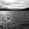 On the Saltspring Ferry