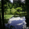 chemanius_gardens