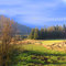 [farm ]