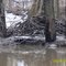 Beaver Lodge, Plum River Savanna