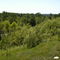 Plum River Valley