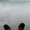 Lilly Lake