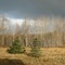 Middleton, NS