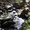 Eel Weir Bk Fall