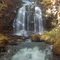 Nealy Brook Tributary Fall