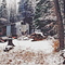 Deer Camp # 35 1953 to 2000