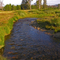 Valley Creek